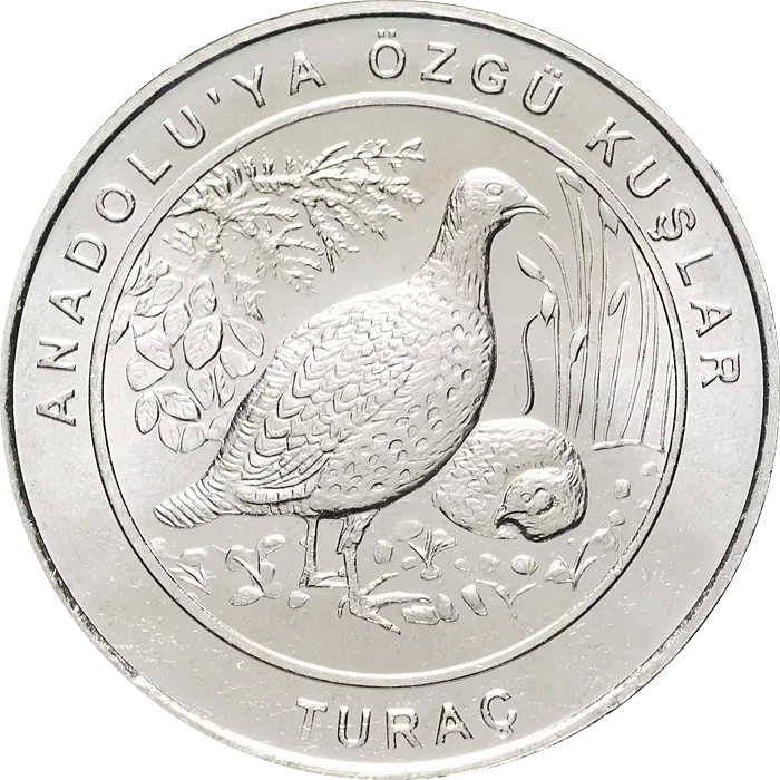 Turaç